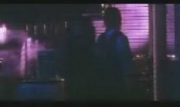 野性的邂逅在线观看,沉浸式探险之旅